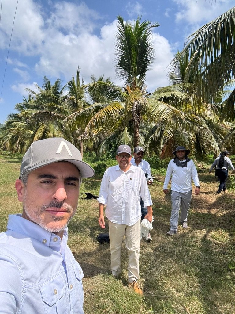 Equipo en plantación