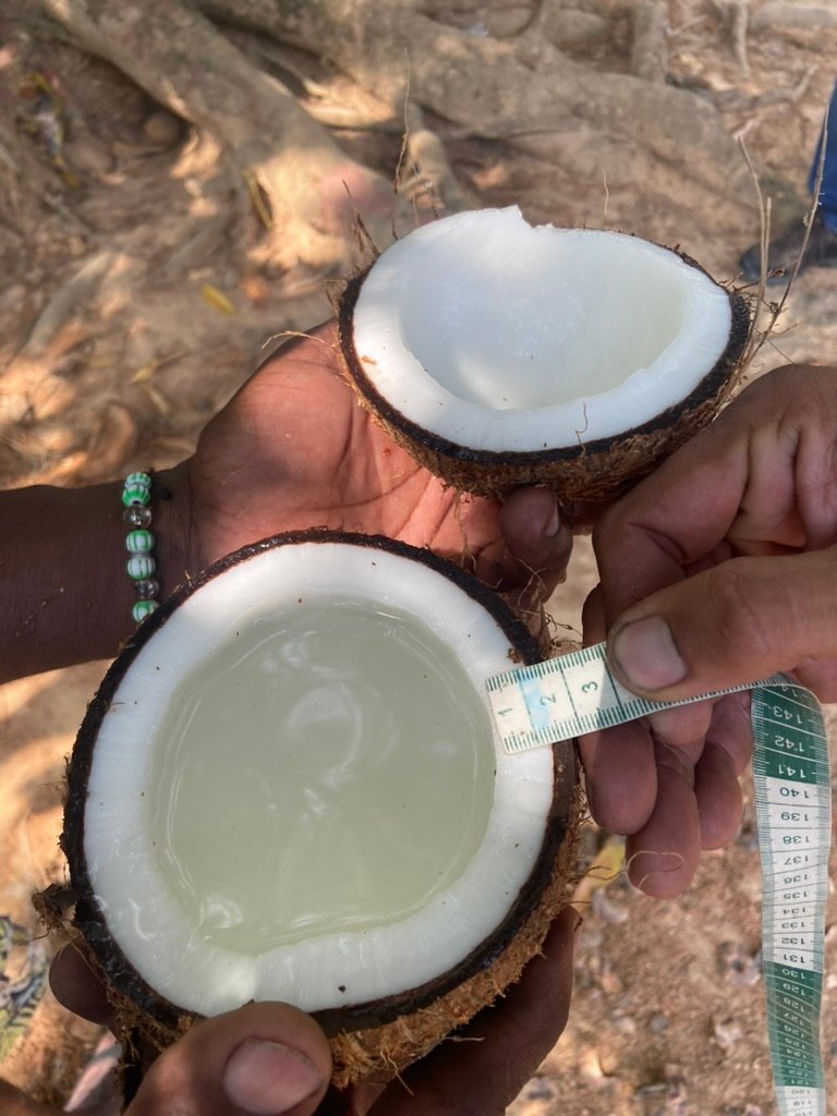 Agua de Coco